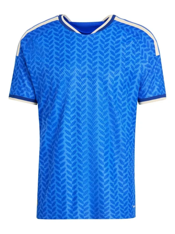 Personalized football kits with custom designs for popular national teams in 2026.