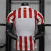 2026 Atletico Madrid Style Home Soccer Jersey - Elite Red & White Striped Football Shirt - Unbranded High-Performance Teamwear